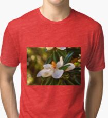 Southern Magnolia Blossom Tri-blend T-Shirt