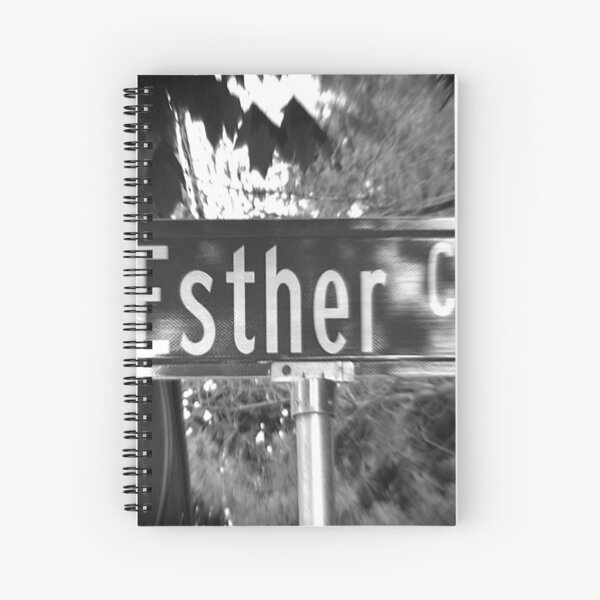 Item preview, A Street Sign Named Esther designed and sold by jcwest.