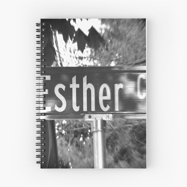Item preview, A Street Sign Named Esther designed and sold by jcwest.