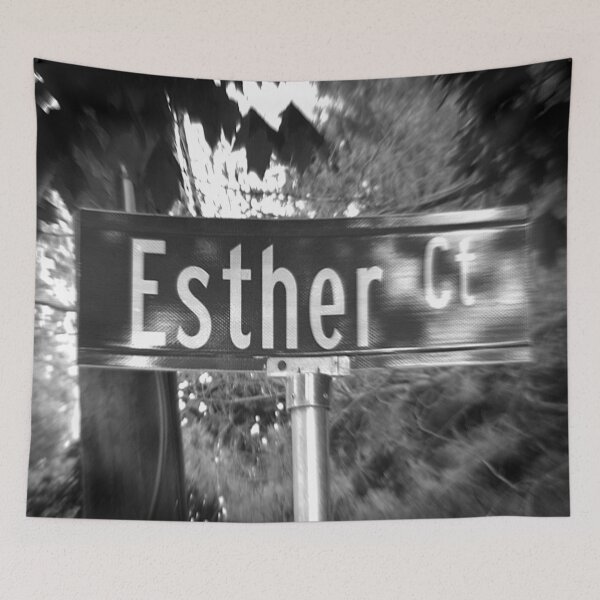 Item preview, A Street Sign Named Esther designed and sold by jcwest.