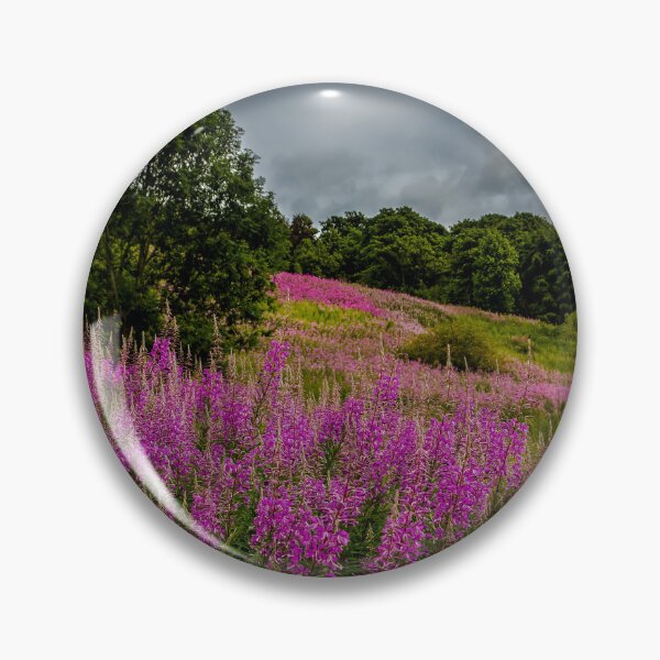 Item preview, Bluebell Woods designed and sold by axp7884.
