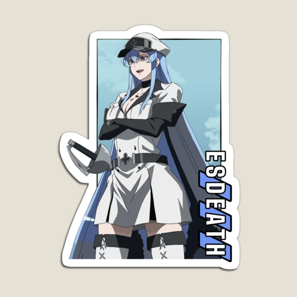 akame ga kill card sleeves Character Sleeve day comfort Esdeath Akame ga Kill Streetwear