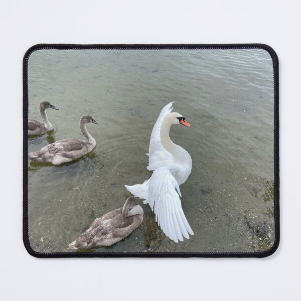 Item preview, Swan Family • Angel Wings • I designed and sold by Mortinus.