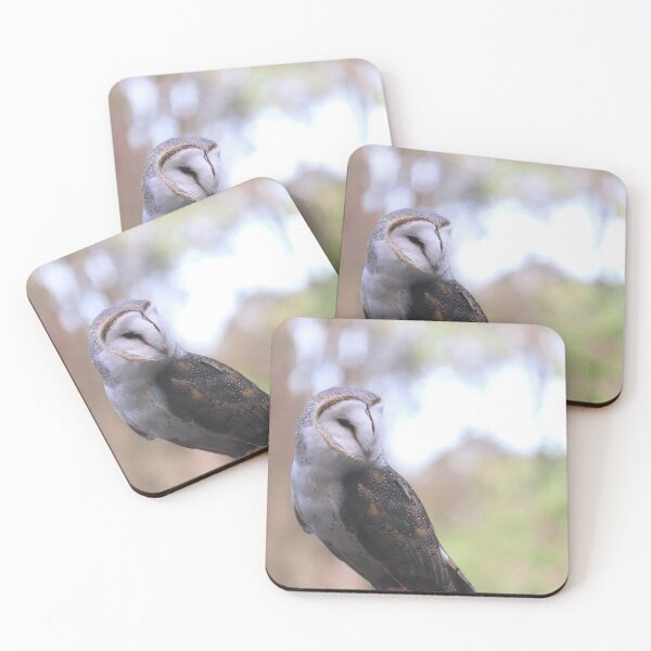 Item preview, Barn Owl designed and sold by LeanneAllen.