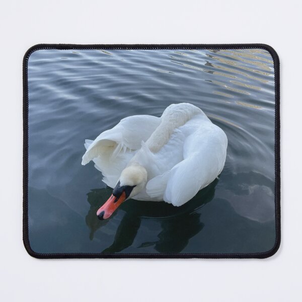 Item preview, Swan • Light Blue & Grey • II designed and sold by Mortinus.