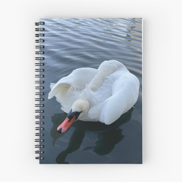 Item preview, Swan • Light Blue & Grey • II designed and sold by Mortinus.
