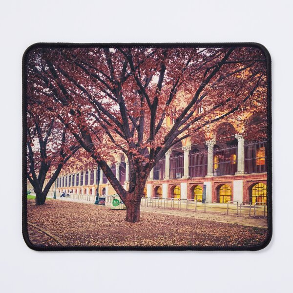 Item preview, Autumn Leaves Trees Nature City Architecture Italy designed and sold by eleonoraingrid.