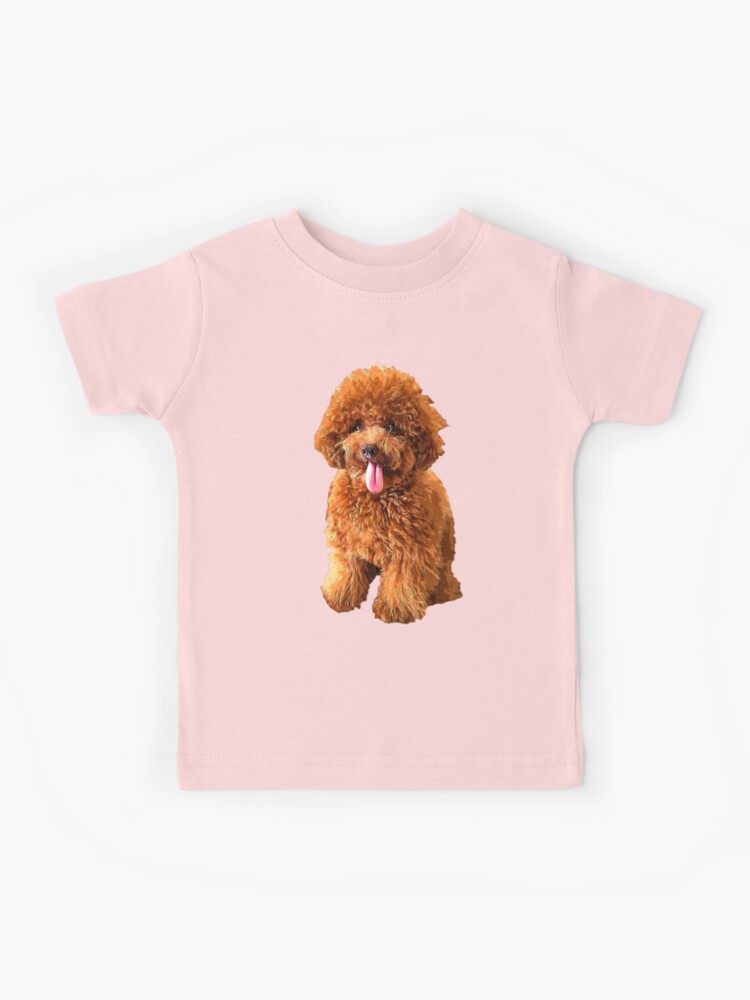 Poodle Doodle Mini Labradoodle Toy Goldendoodle
