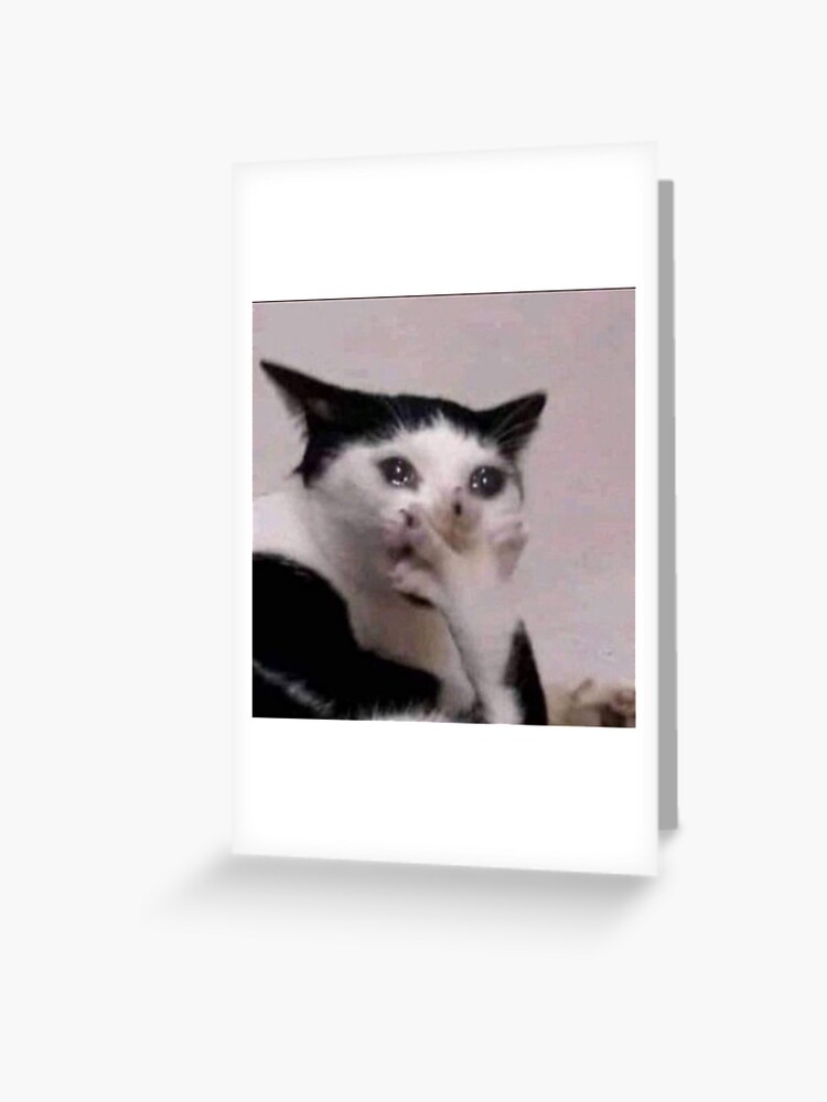 An image of the classic crying cat meme printed on anything you want to  purchase:). Thank you, money goes towards colleg…