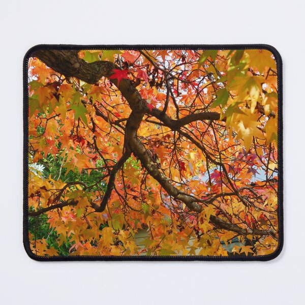 Item preview, Autumn glory designed and sold by jayview.