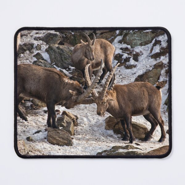 Item preview, Ibex On Rocks designed and sold by Michael Cummings.