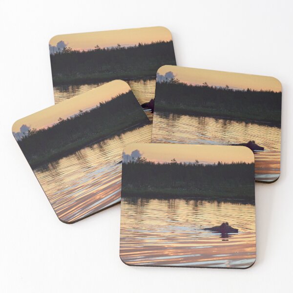 Item preview, Golden swim. Brown bear designed and sold by Jouko Lehto Photography.