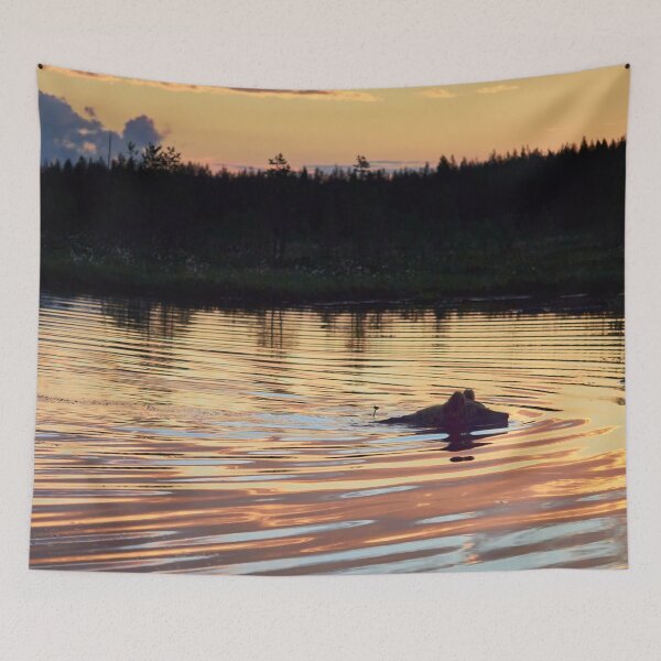 Item preview, Golden swim. Brown bear designed and sold by Jouko Lehto Photography.