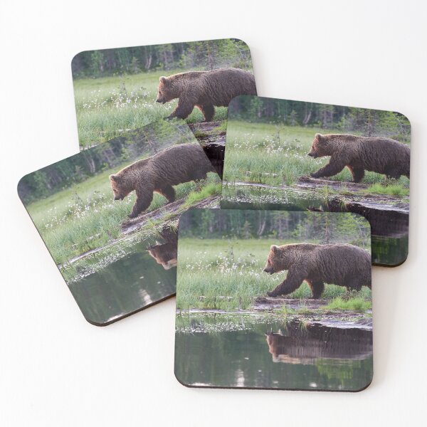 Item preview, Hurry up. Brown bear designed and sold by Jouko Lehto Photography.
