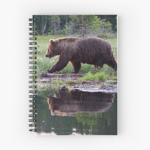 Item preview, Hurry up. Brown bear designed and sold by Jouko Lehto Photography.