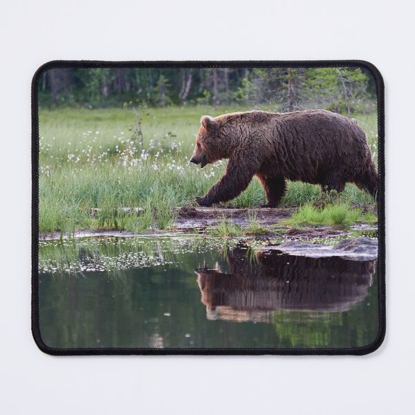 Item preview, Hurry up. Brown bear designed and sold by Jouko Lehto Photography.