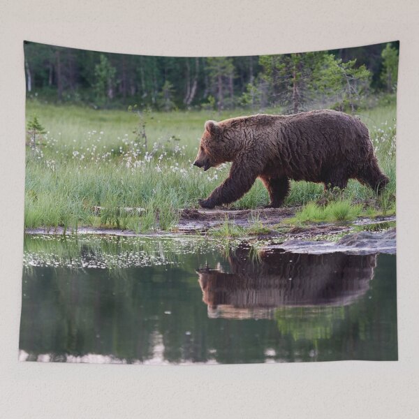 Item preview, Hurry up. Brown bear designed and sold by Jouko Lehto Photography.