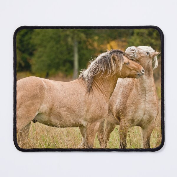 Item preview, Horsing Around designed and sold by Michael Cummings.