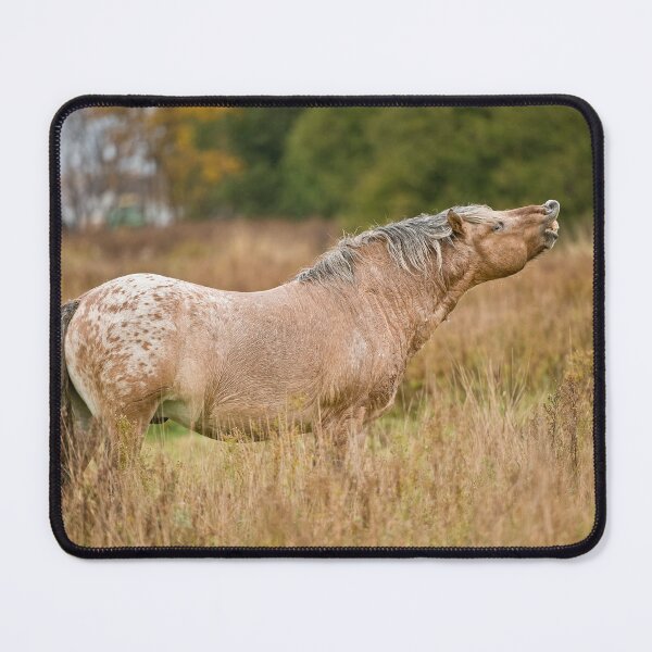 Item preview, Horse designed and sold by Michael Cummings.