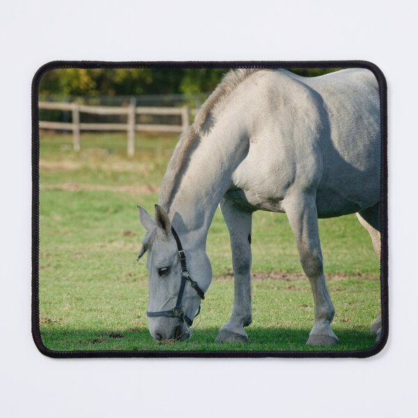 Item preview, Horse Feeding designed and sold by Michael Cummings.
