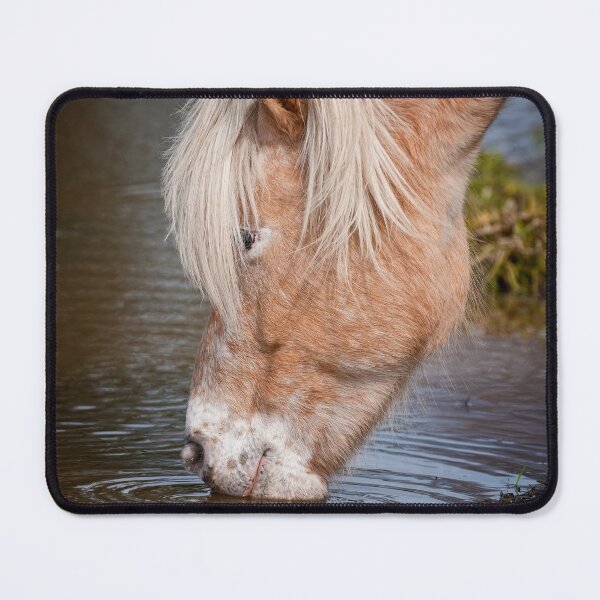 Item preview, Horse Drinking Water designed and sold by Michael Cummings.