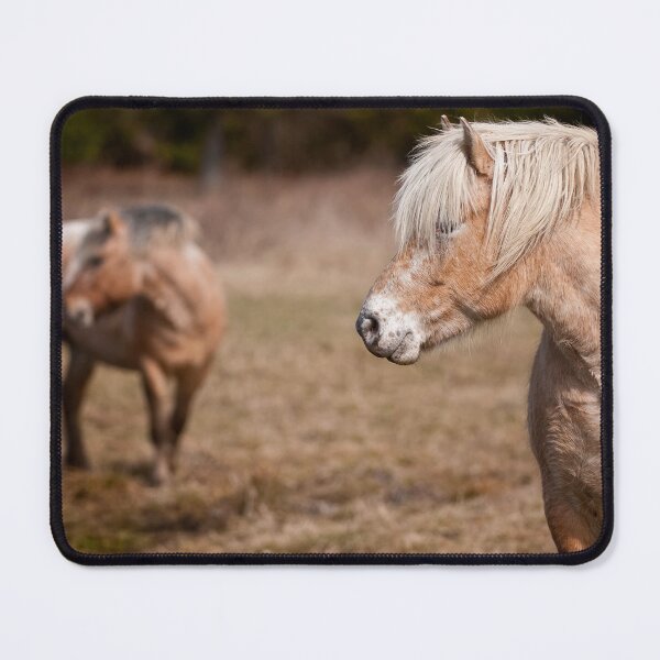 Item preview, Shaggy Horses designed and sold by Michael Cummings.