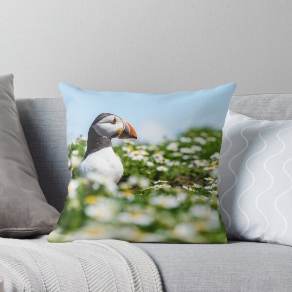 Item preview, Puffin in daises designed and sold by Anna Phillips.