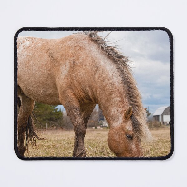 Item preview, Horse Eating Hay designed and sold by Michael Cummings.