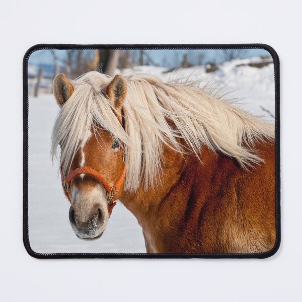 Item preview, Belgian Horse In Winter designed and sold by Michael Cummings.