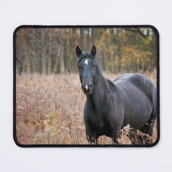 Item preview, Horse In Field designed and sold by Michael Cummings.