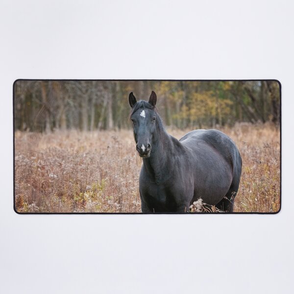 Item preview, Horse In Field designed and sold by Michael Cummings.