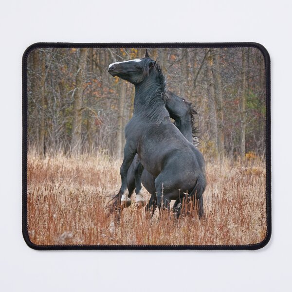Item preview, Horse In Field designed and sold by Michael Cummings.