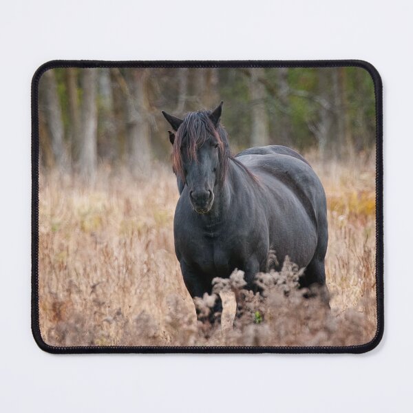 Item preview, Horse designed and sold by Michael Cummings.