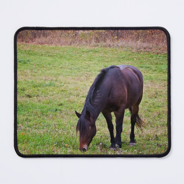 Item preview, Horse In Field  designed and sold by Michael Cummings.