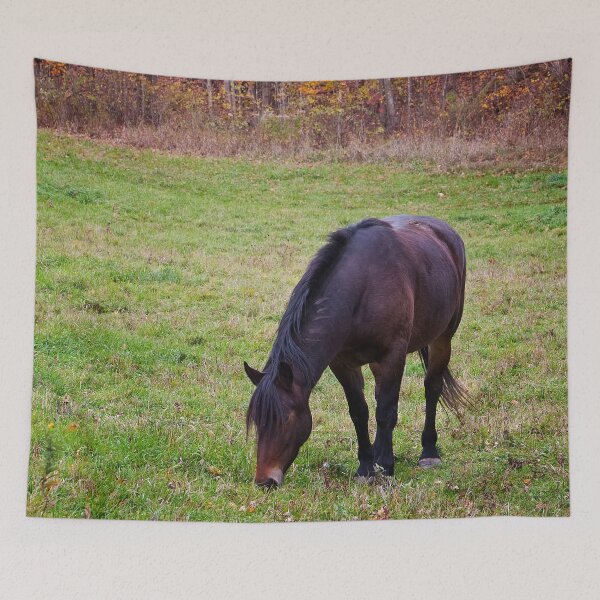 Artikelvorschau, Pferd im Feld entworfen und verkauft von Michael Cummings.