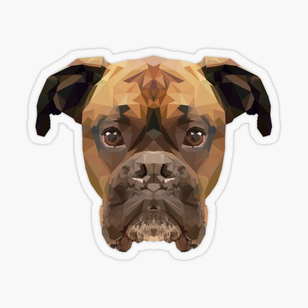 Boxer Pegatina transparente