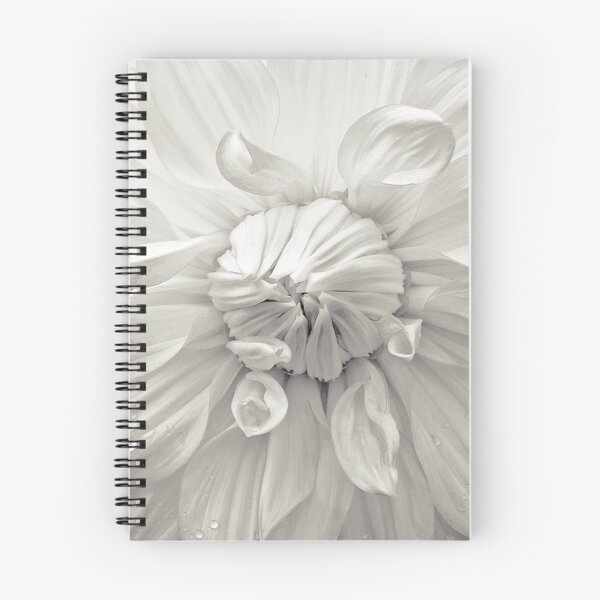 Item preview, Open Up designed and sold by ImageEvolution.