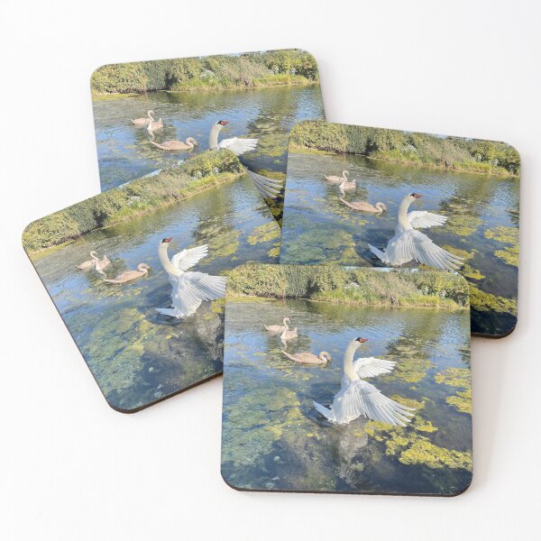 Item preview, Swan Family • Angelwings • Christianshavn  designed and sold by Mortinus.