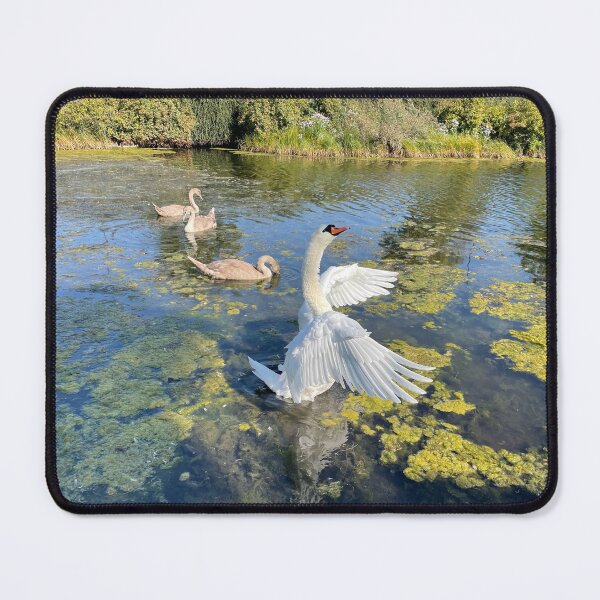 Item preview, Swan Family • Angelwings • Christianshavn  designed and sold by Mortinus.
