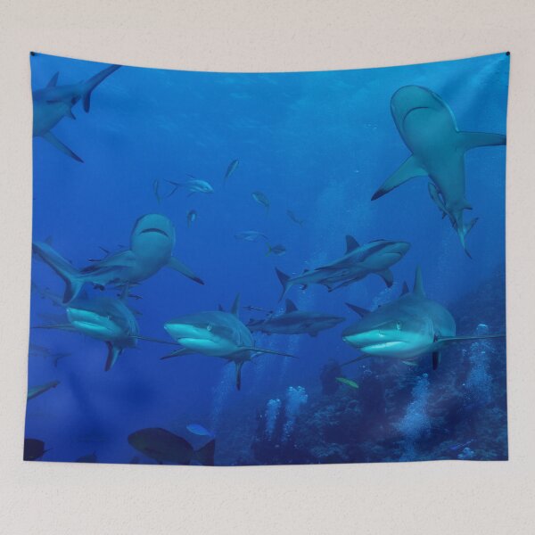 Item preview, Grey Reef Sharks Great Barrier Reef Australia designed and sold by seaearthandsky.