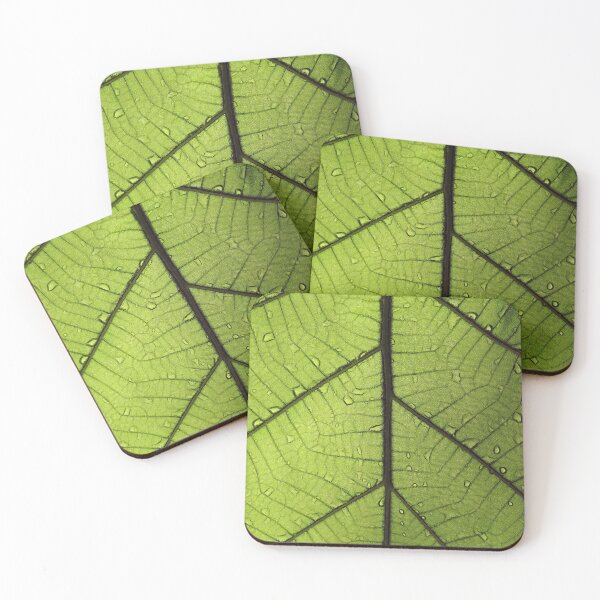 Item preview, Veins designed and sold by ImageEvolution.