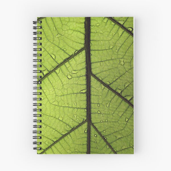 Item preview, Veins designed and sold by ImageEvolution.