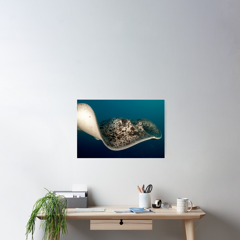 Close encounter Poster