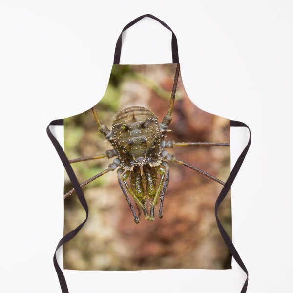 Item preview, Unique and organic photo of a harvestman designed and sold by AvonPerception.
