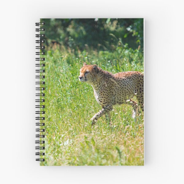 Item preview, cheetah designed and sold by Dagostino.