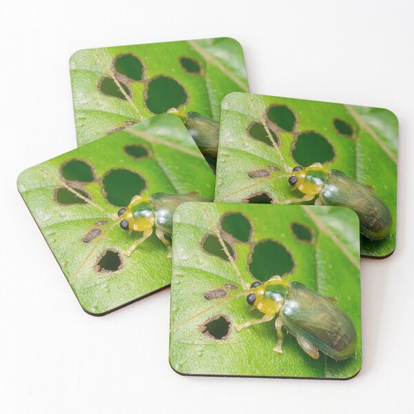 Item preview, Unique and organic photo of a leaf beetle designed and sold by AvonPerception.