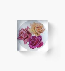 Australian Bred Roses Acrylic Block