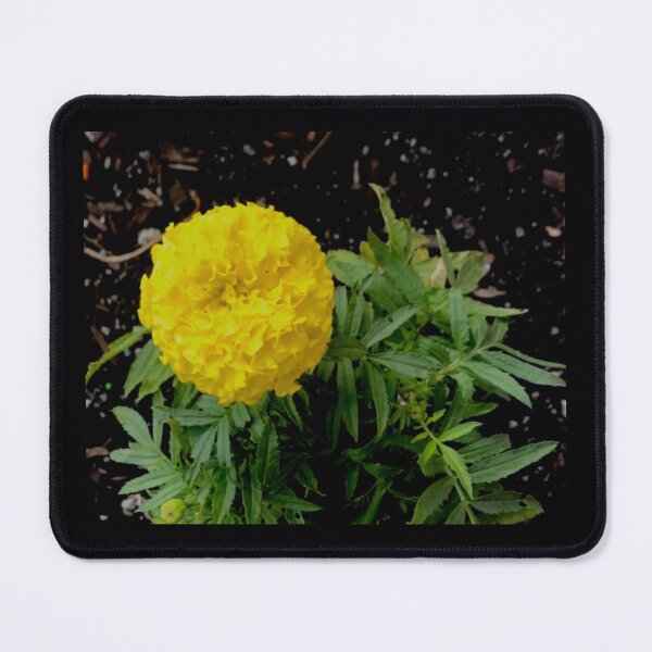 Item preview, Yellow, Yellow! designed and sold by KazM.