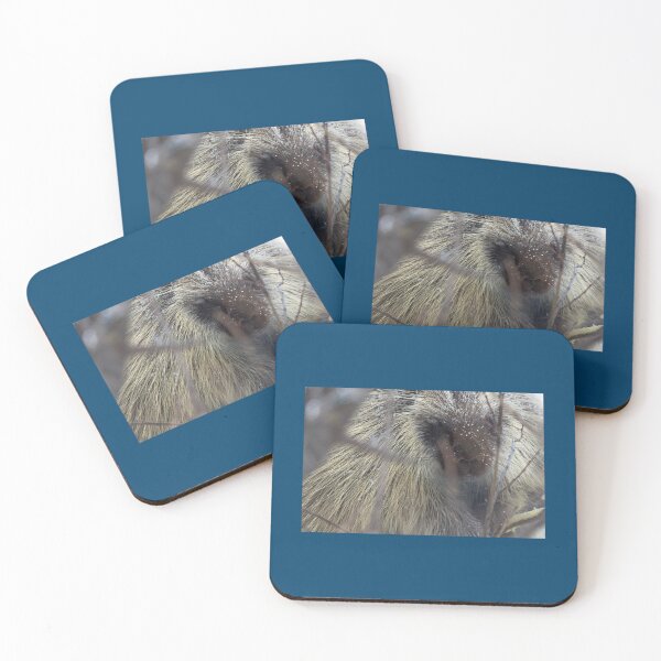 Item preview, New World Porcupine Premium  designed and sold by OralieTerry.