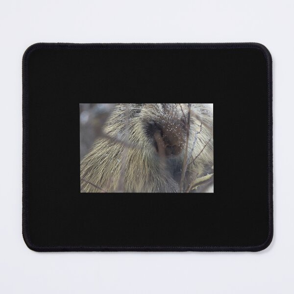 Item preview, New World Porcupine Premium  designed and sold by OralieTerry.